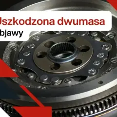 Zbliżenie na uszkodzoną dwumasę w samochodzie benzynowym. Widoczne objawy zużycia i luzy.