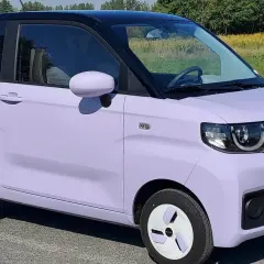 Fioletowy samochód elektryczny na tle łąki. Czy wady samochodów elektrycznych są widoczne w jego kompaktowej budowie?