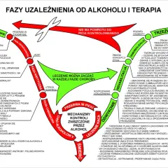 Schemat faz uzależnienia od alkoholu. Konsekwencje niezapłacenia mandatu w Niemczech mogą być poważne, prowadząc do dalszych problemów.