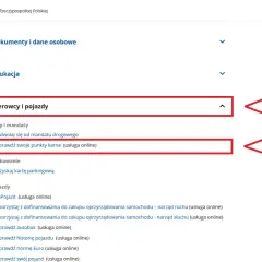 Na stronie gov.pl, w sekcji "Kierowcy i pojazdy", można sprawdzić swoje punkty karne.