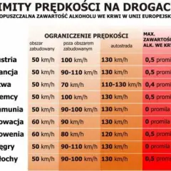 Słowacja: ograniczenia prędkości 60 km/h w terenie zabudowanym, 90 km/h poza nim, 130 km/h na autostradzie, 0 promila alkoholu.