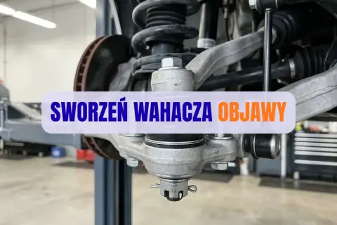 Widok na element zawieszenia samochodu. Napis "SWORZEŃ WAHACZA OBJAWY" sugeruje problemy z tym podzespołem.