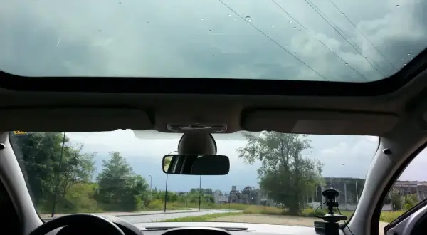 Widok z wnętrza samochodu przez panoramiczny dach. Krople deszczu na szybie, za nią droga i drzewa.