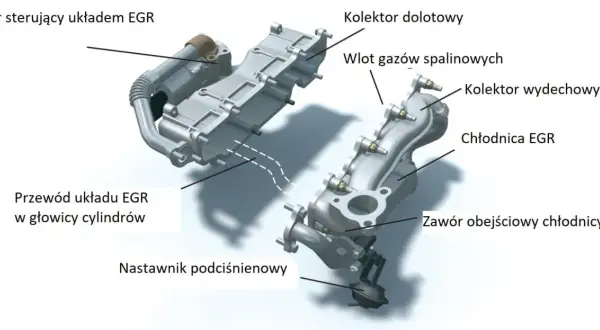 Układ EGR: kolektor dolotowy, wylotowy, chłodnica i zawór sterujący. Rozważ zaślepienie EGR wady i zalety.