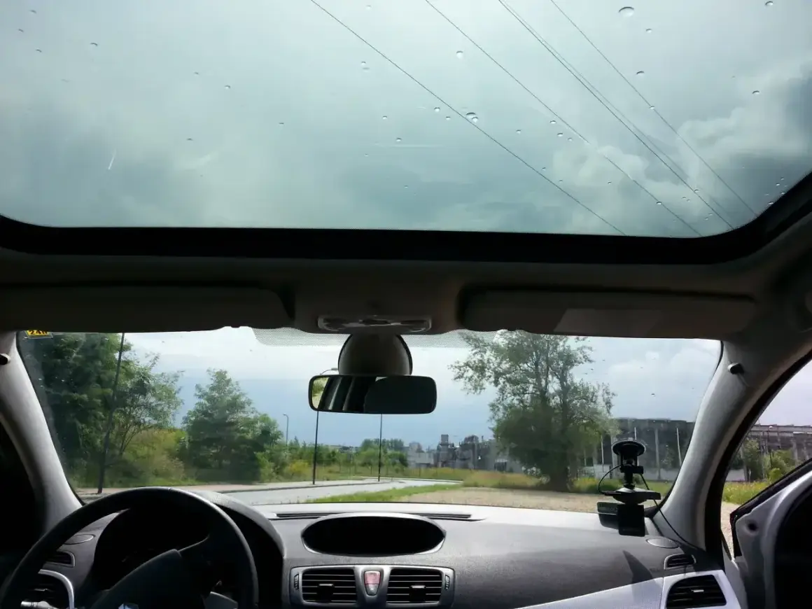 Widok z wnętrza samochodu przez panoramiczny dach. Krople deszczu na szybie, za nią droga i drzewa.