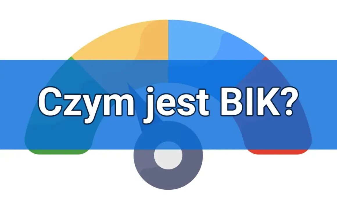 Kolorowy wykres z pytaniem "Czym jest BIK?".