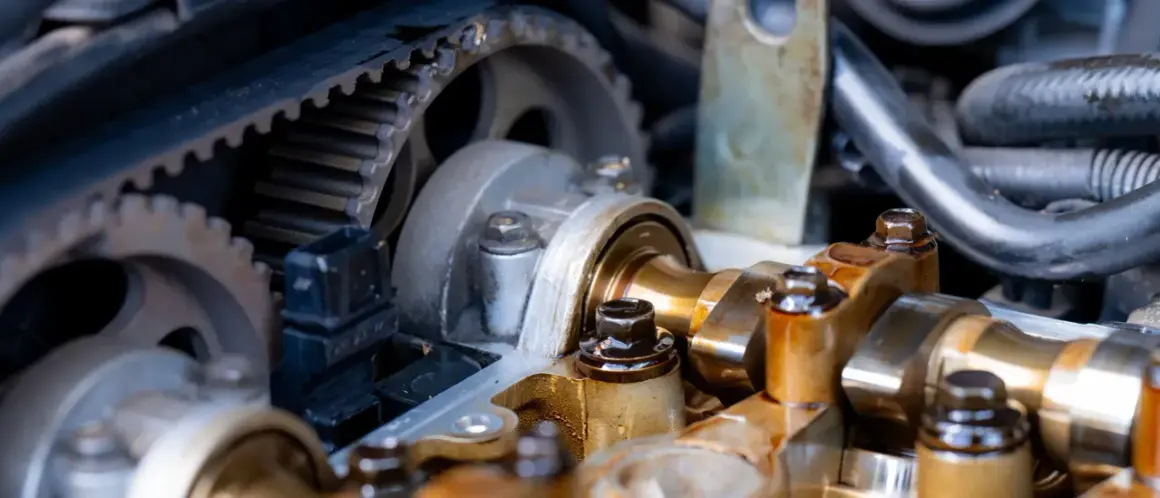 Widok na mechanizm rozrządu w aucie: pasek zębaty, koła zębate i wałek rozrządu.