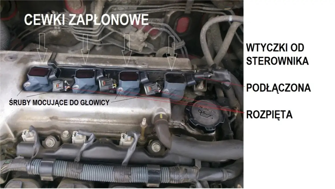 Uszkodzona cewka zapłonowa a LPG. Widoczne cewki zapłonowe silnika, ich mocowania i wtyczki od sterownika.