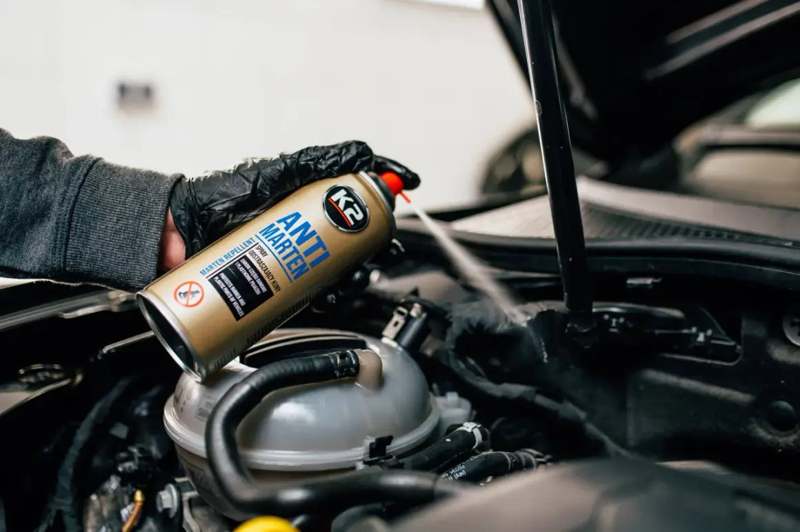 Ręka w rękawiczce rozpyla spray K2 Anti Marten pod maską samochodu, pokazując skuteczne rozwiązanie, czym odstraszyć kuny.