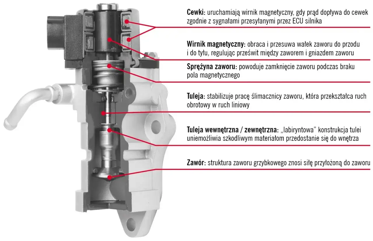 Przekrój zaworu EGR. Wymienione elementy: cewki, wirnik magnetyczny, sprężyna, tuleja, tuleja wewnętrzna/zewnętrzna, zawór. Objawy awarii zaworu EGR mogą być związane z jego budową.