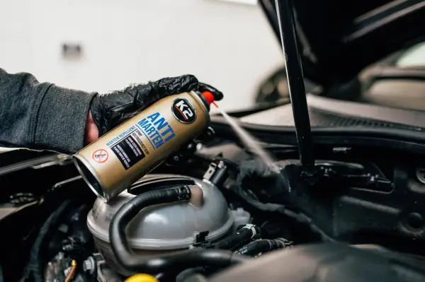 Ręka w rękawiczce rozpyla spray K2 Anti Marten pod maską samochodu, pokazując skuteczne rozwiązanie, czym odstraszyć kuny.